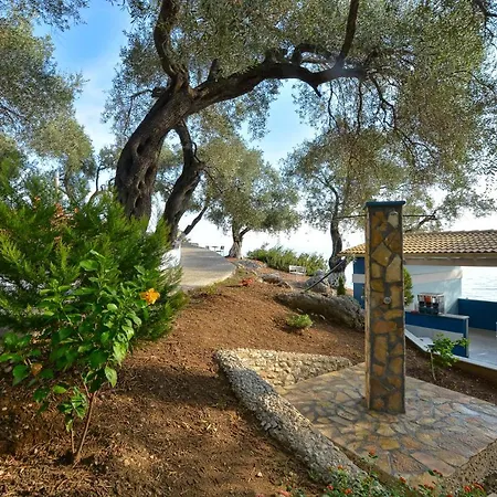 Lido Corfu Sun 4 Stars ホテル